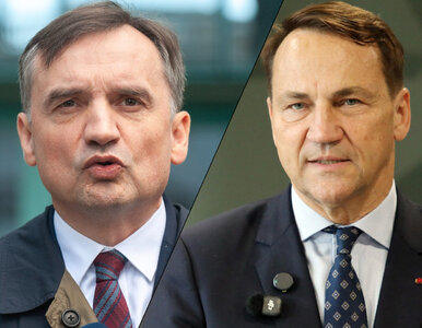Miniatura: Sikorski miał zero litości dla Ziobry....