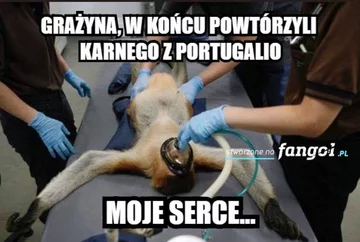 Mem po meczu Polska-Portugalia 
