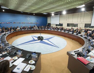 Miniatura: Ministrowie obrony NATO potwierdzają:...