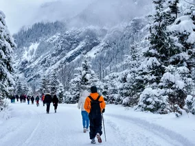 Miniatura: Obcokrajowiec odwiedził Tatry. Tego się...