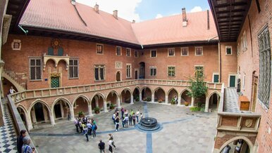 Miniatura: Kraków ponownie światowym centrum wiedzy o...