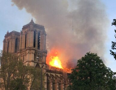Miniatura: Płonące katedry. Uderzenie w stereotyp o...
