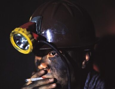 Miniatura: 97 proc. górników z Kompanii Węglowej za...