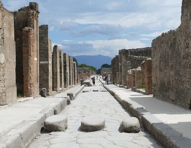 Miniatura: Wyjątkowe zabytki z Pompejów po raz...