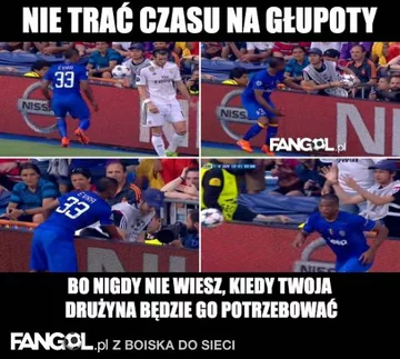 fot. fangol.pl