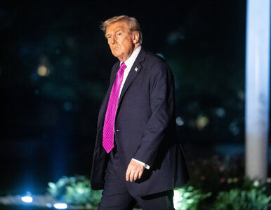 Miniatura: Donald Trump stawia ultimatum. „Europa i...