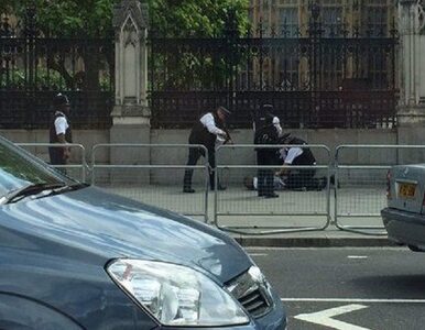 Miniatura: Strzały przed brytyjskim parlamentem....