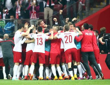 Miniatura: Ranking FIFA: Polska w dół, Niemcy na czele