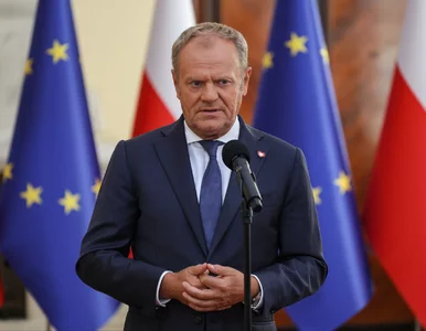 Miniatura: Burza ws. konferencji z Trumpem. Tusk...