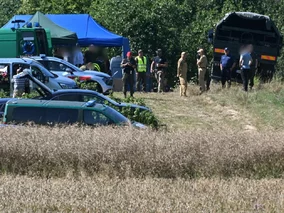 Miniatura: Co spadło pod Tarnawą-Kolonią? Nowe...