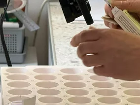 Miniatura: Rewolucja na oddziałach szpitalnych....