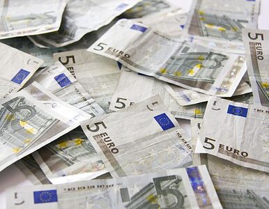 Miniatura: Strefa euro skończy pod kreską. Wzrost...