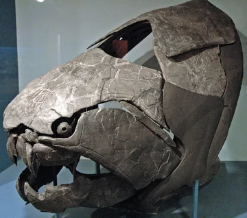 Dunkleosteus terrelli 