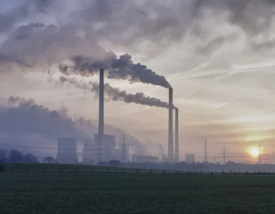 Miniatura: Przewodnik po szczycie klimatycznym w...