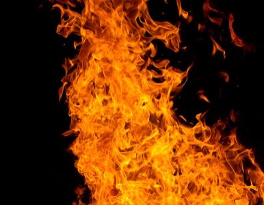 Miniatura: Olsztyn: pożar na poddaszu kamienicy