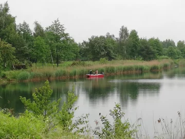 Czynności poszukiwawcze w miejscowości Niwka koło Tarnowa 