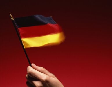 Miniatura: Niemcy przeznaczą 8 mld euro na walkę ze...