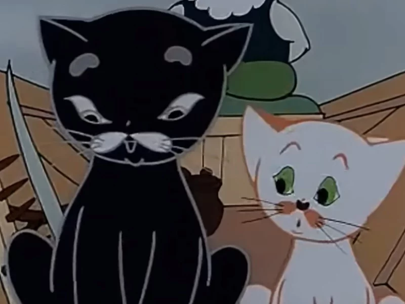 Jak miał na imię czarny kot z tej bajki?