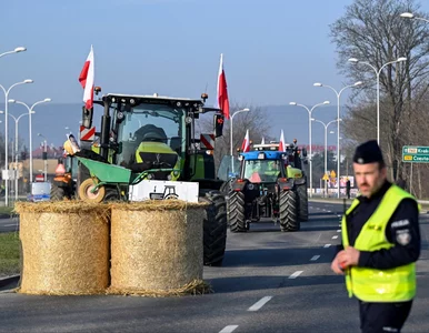Miniatura: Porozumienie rolników z rządem? Minister o...