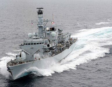 Miniatura: Rosyjski okręt zakłócił manewry NATO....