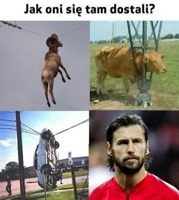 Mem po meczu Polska – Słowacja 