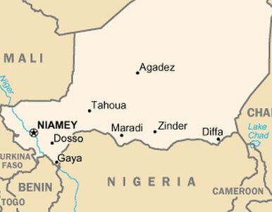 Miniatura: Niger: uwolniono francuską zakładniczkę