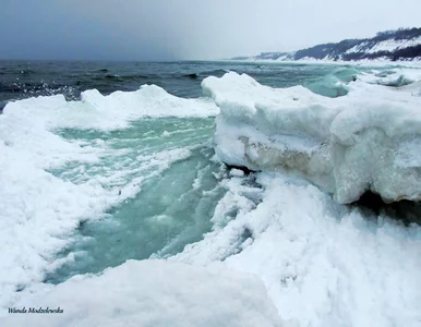 Miniatura: Zima wraca. Zobacz niezwykłe zdjęcia!
