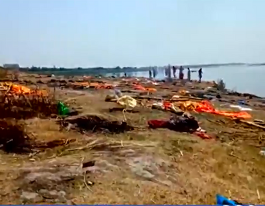 Szokujące odkrycie w Indiach. Do rzeki Ganges wrzucono ponad 150 ciał...