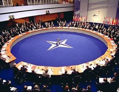 Miniatura: NATO bada doniesienia o ofiarach nalotów...