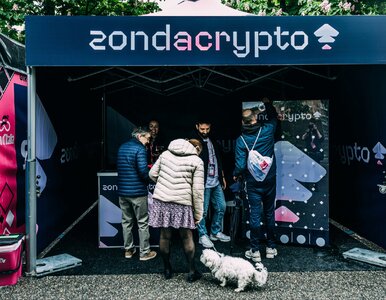 Miniatura: Adwokat, który bronił wspólnika Suszka,...