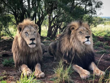 Rezerwat przyrody w RPA 