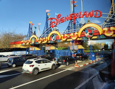 Miniatura: Nowości w kultowym parku rozrywki. Takie...