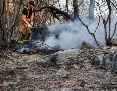 Miniatura: Niebezpieczna sytuacja w Grecji. Polscy...