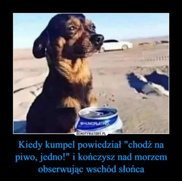 Mem z okazji Dnia Psa 