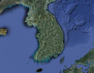 Miniatura: Korea Północna zaatakowała Południe za......