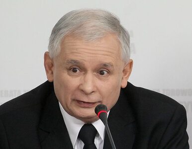 Miniatura: Kaczyński: grupy nacisku zjedzą demokrację