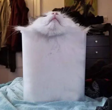 Wkład do znicza? Czy może Puszek? 