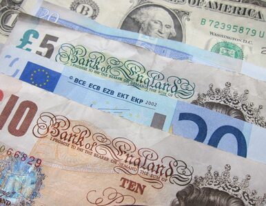 Miniatura: Wielka Brytania spłaciła dług z czasów I...