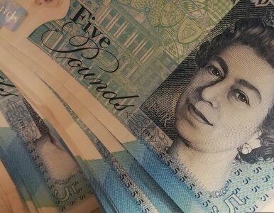 Miniatura: Kursy walut 14 lipca 2025. Po ile dolar,...