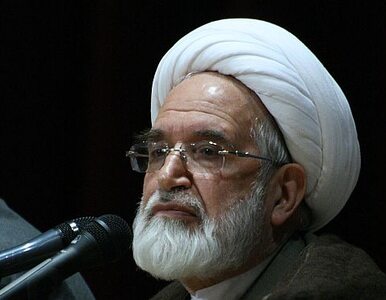 Miniatura: Syn lidera irańskiej opozycji zatrzymany