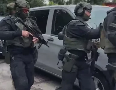 Miniatura: Niemiecki gang zatrzymany w Polsce. Nowe...