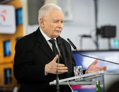 Miniatura: Zaskakujący ruch PiS w wyborach do Sejmu?...