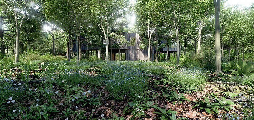 Luksusowy domek na drzewie Luksusowy domek na drzewie za milion funtów