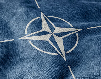 Miniatura: Tajna baza NATO trafiła w ręce... Rosjan