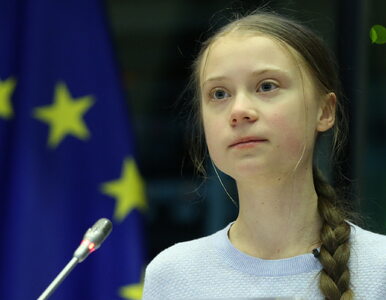 Miniatura: Greta Thunberg gwałcona przez spółkę...