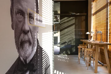 Villa M w Paryżu, ekologiczna architektura low-tech, projekt Triptyque v2com, 2001-01, Triptyque, Paryż, zielona ściana, zielony dach