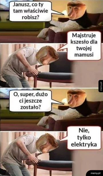 Mem z okazji Dnia Teściowej 