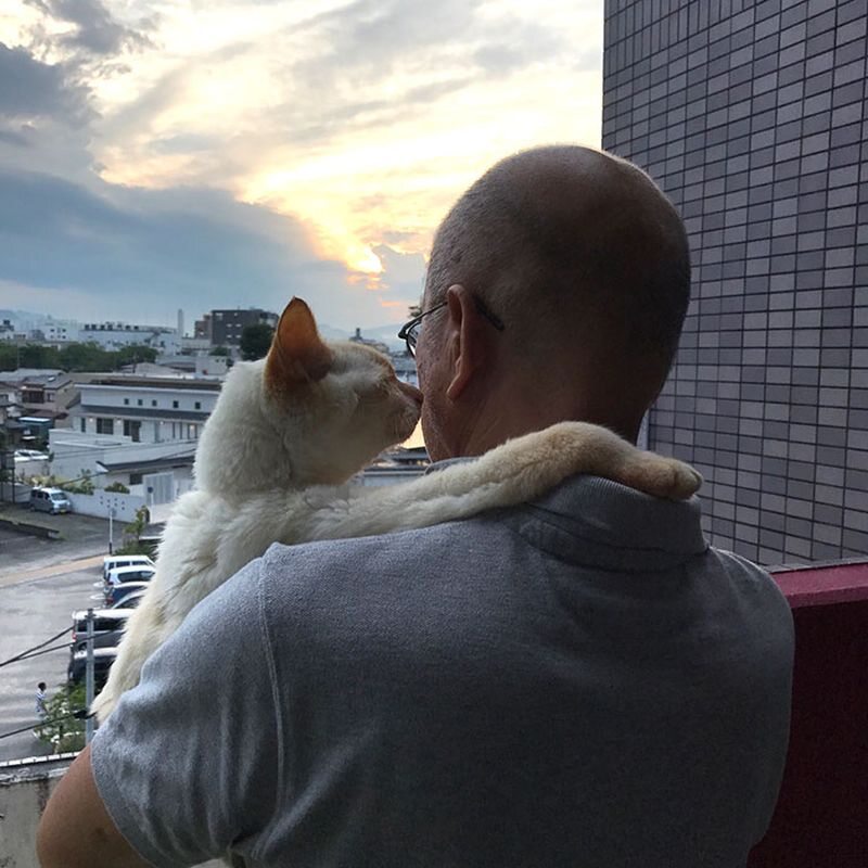 Ostatnie zdjęcie z ukochanym kotem. Właściciel wyniósł go na balkon - jego ulubione miejsce 