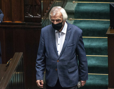 Miniatura: Sejm podjął decyzję ws. przyszłości...