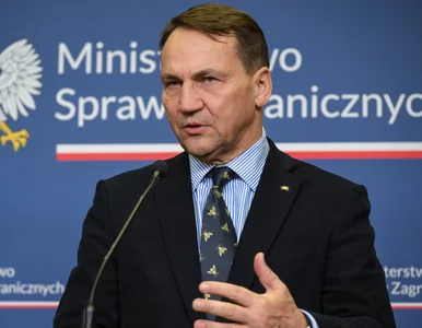 Miniatura: Polacy w strefie zagrożenia. MSZ podejmuje...